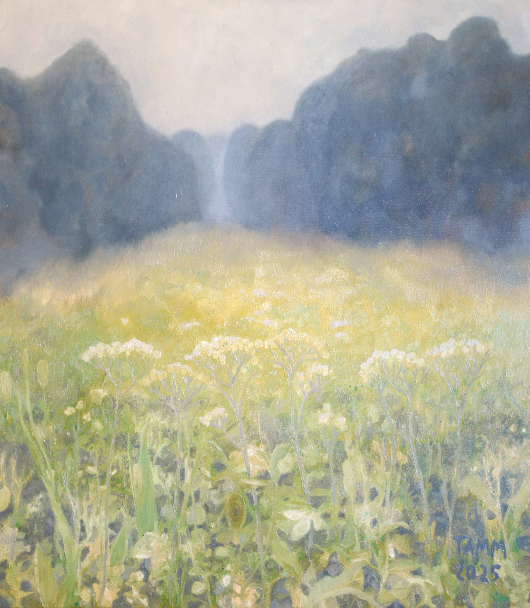 Juuli · õli lõuendil, 2025 · 80 × 70 cm