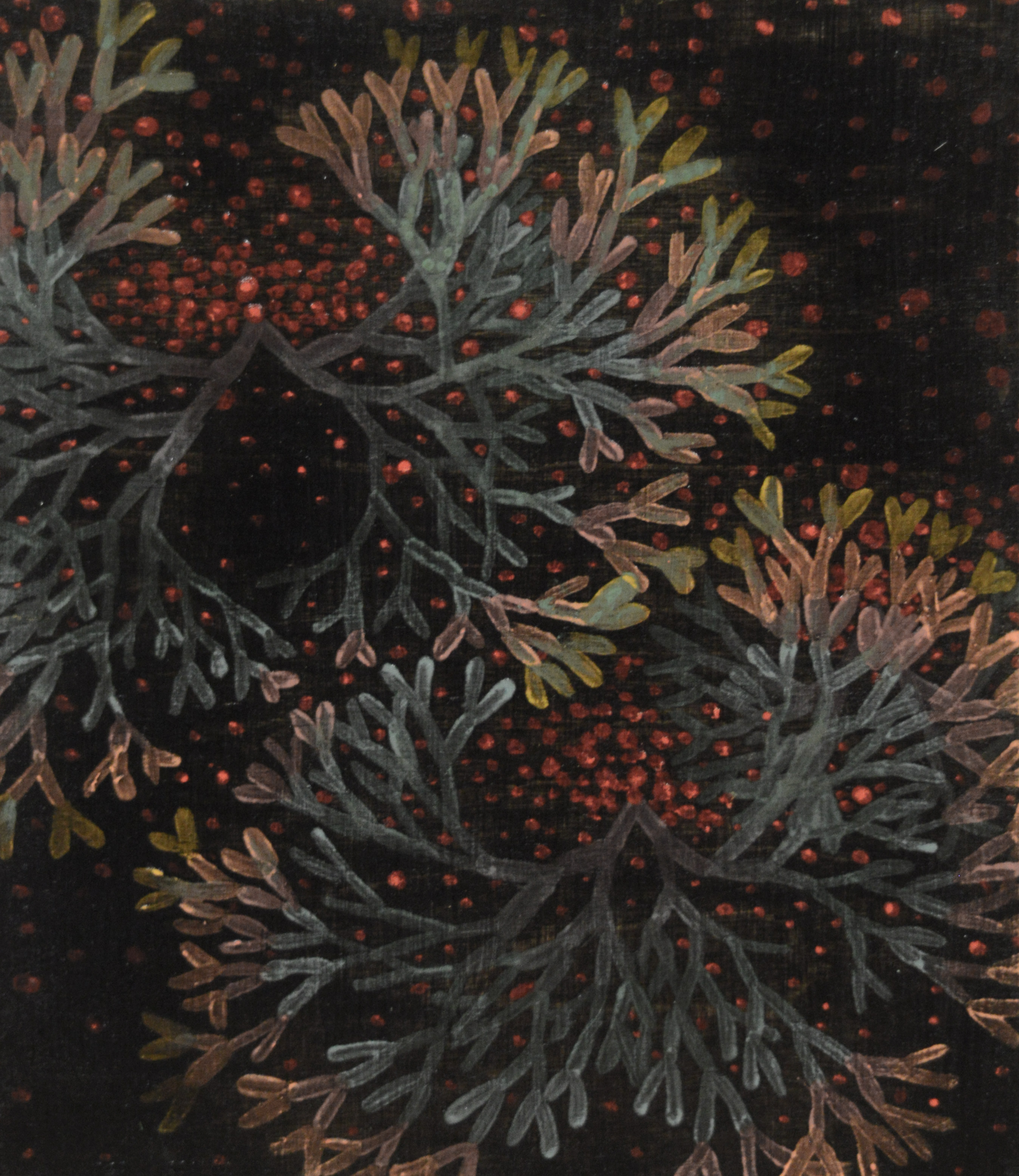 Vikervetik · õli vineeril, 2024 · 25 × 19 cm